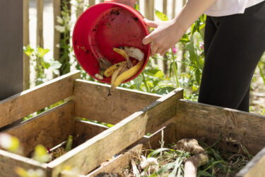 Composting Organic Waste