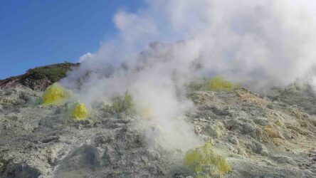 תמונת רקע לפרסום